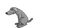 ᡼ 6