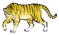 ᡼