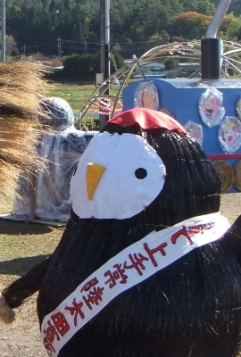 ᡼ 7
