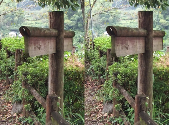 ᡼ 7