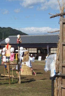 ᡼ 22