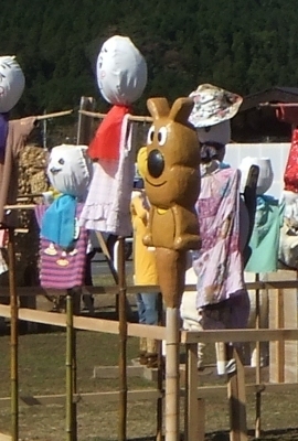 ᡼ 5