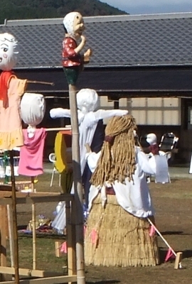 ᡼ 11