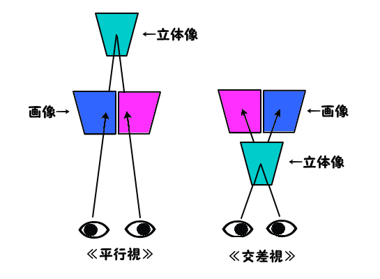 ᡼ 12