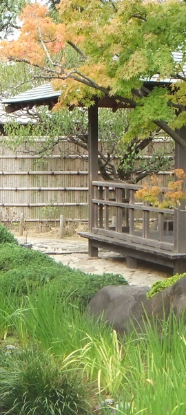 ᡼ 15