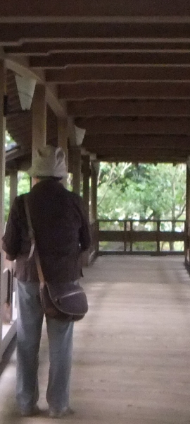 ᡼ 11