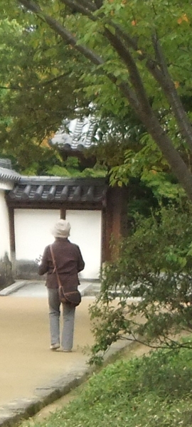 ᡼ 4