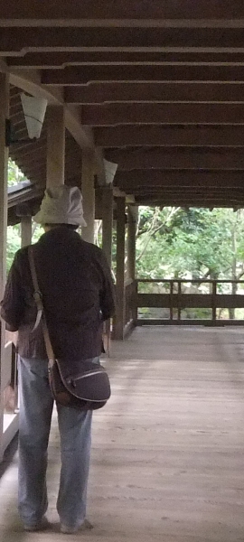 ᡼ 12