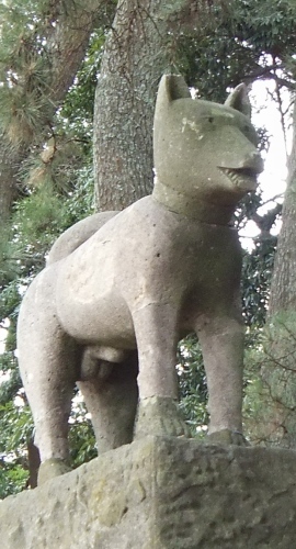 ᡼ 5