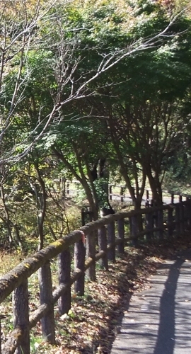 ᡼ 10