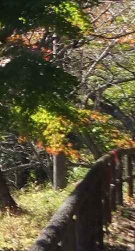 ᡼ 4