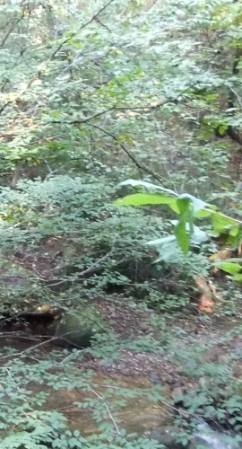 ᡼ 20