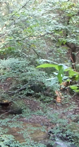 ᡼ 19