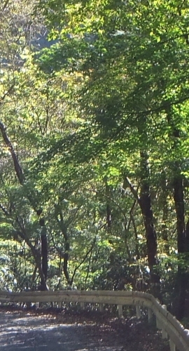 ᡼ 15