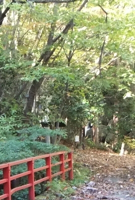 ᡼ 17