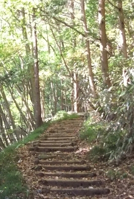 ᡼ 4