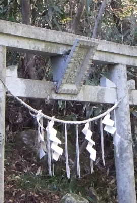 ᡼ 19