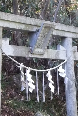 ᡼ 20