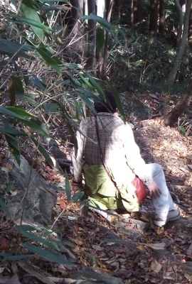 ᡼ 8