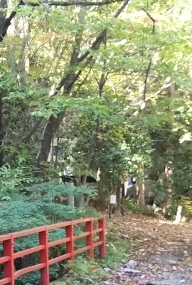 ᡼ 18