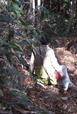 ᡼ 7