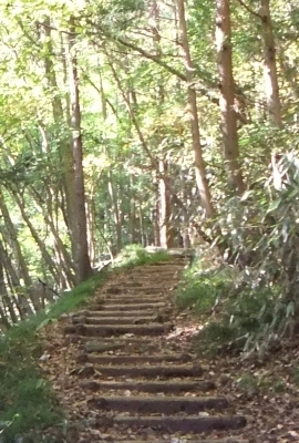 ᡼ 3