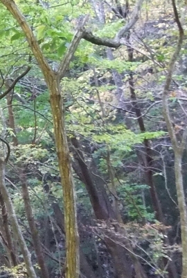 ᡼ 12