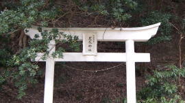 ᡼ 10