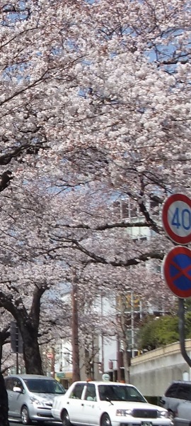 ᡼ 8