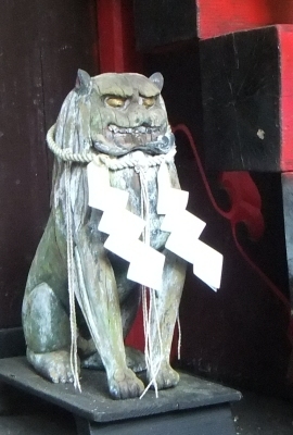 ᡼ 11