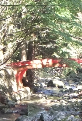 ᡼ 15