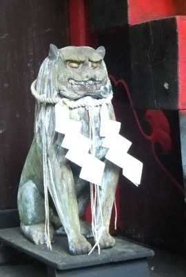 ᡼ 12