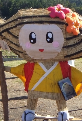 ᡼ 11