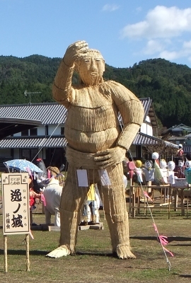 ᡼ 5