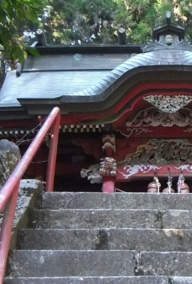 ᡼ 11