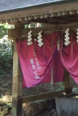᡼ 7