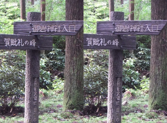 ᡼ 5